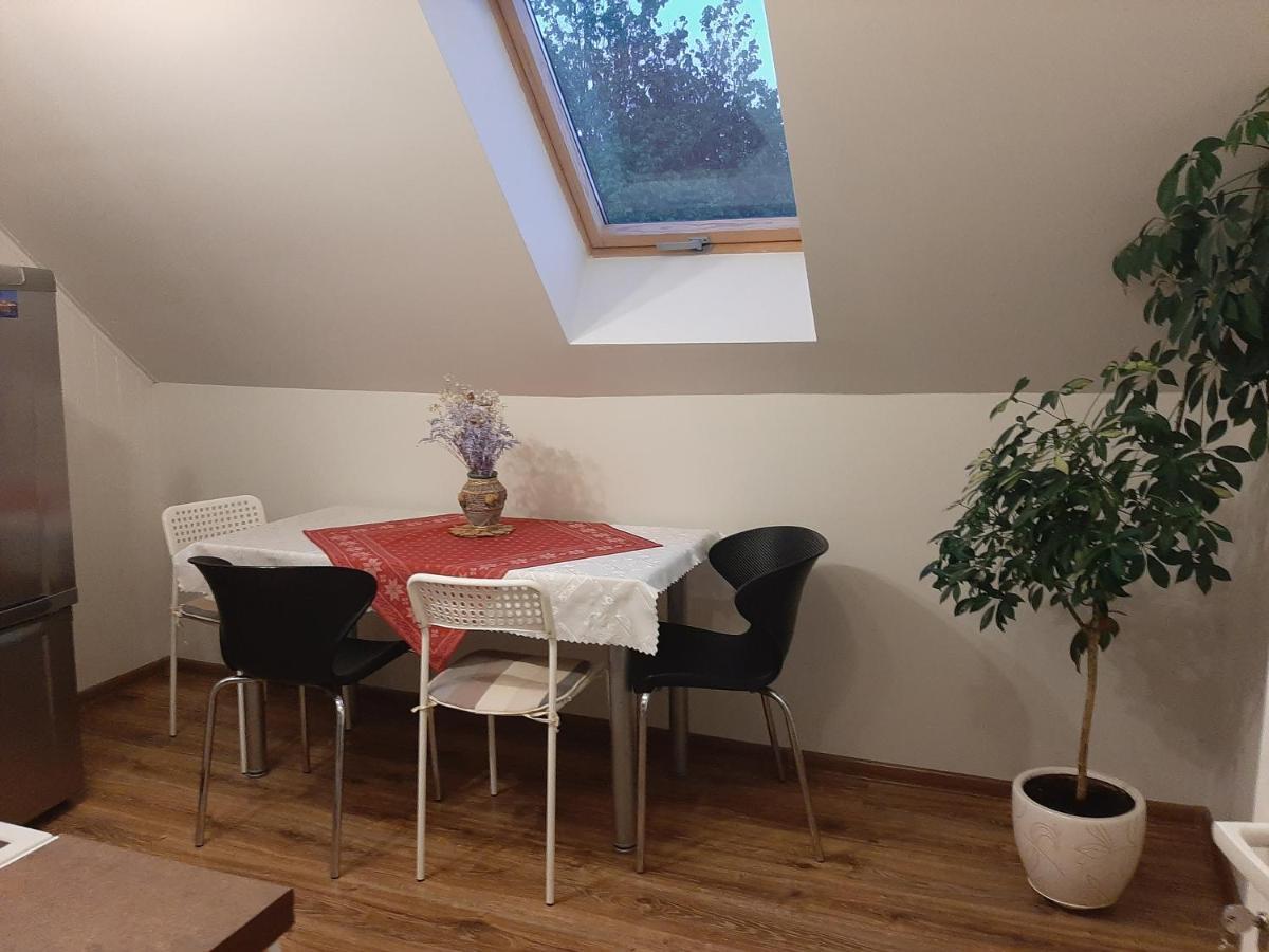 Prie Azuolo Apartman Zarasai Kültér fotó