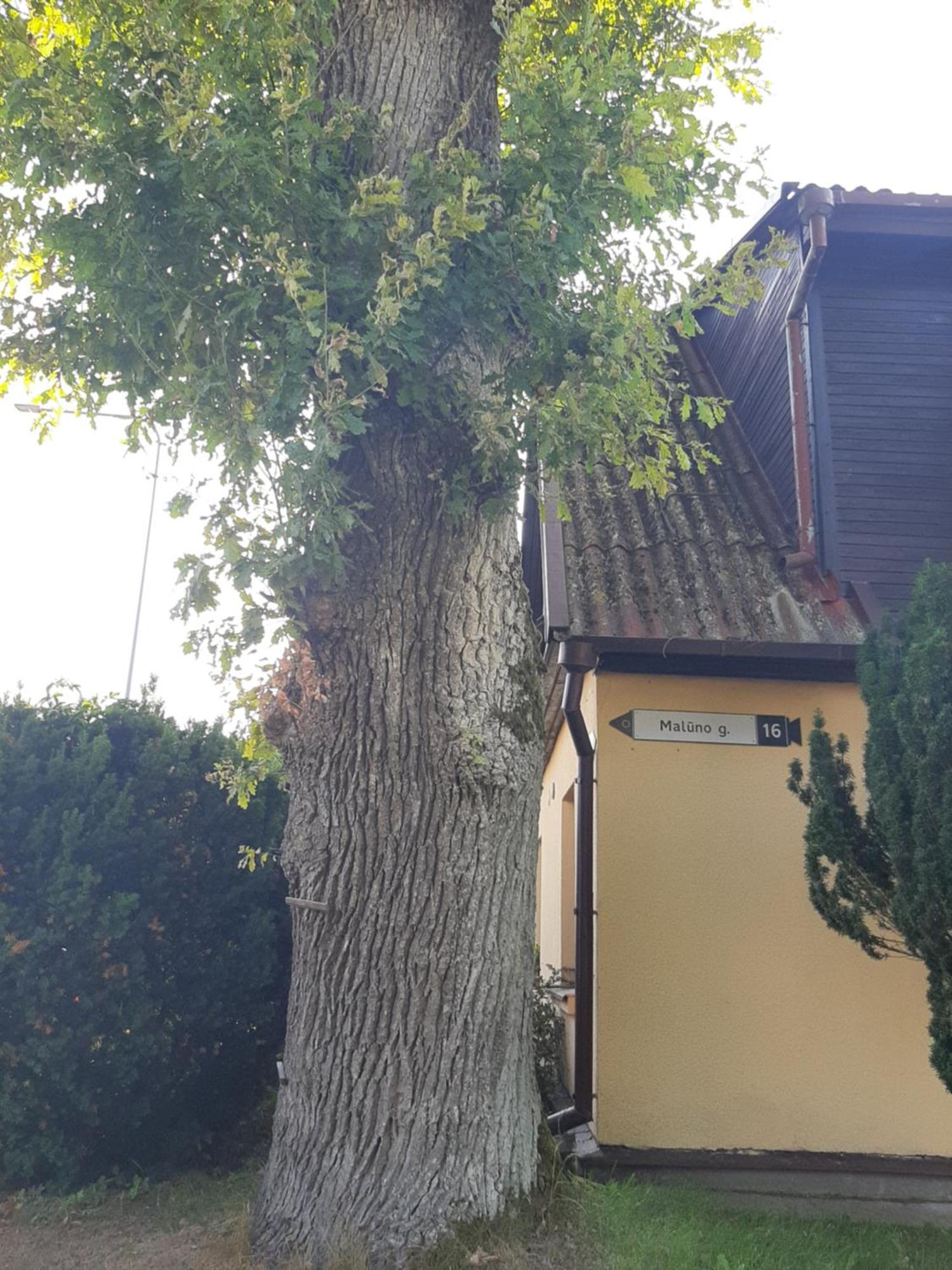 Prie Azuolo Apartman Zarasai Kültér fotó